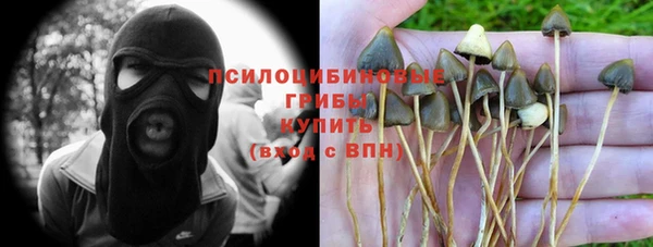 хмурый Белоозёрский