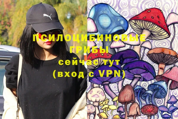 СК Богородск